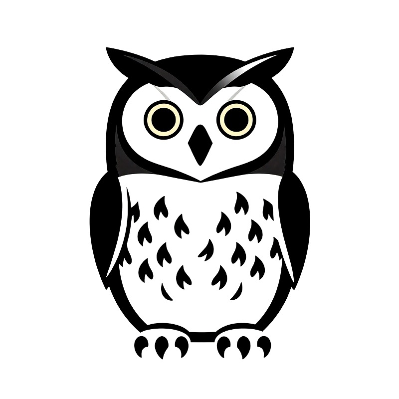 Iron On Patch - Owl Heat Transfer Vinyl HTV Iron
